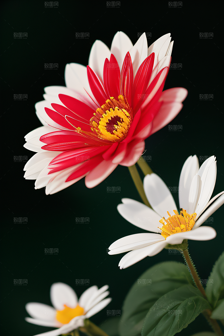 神秘红花深海水底花瓣与心露相映