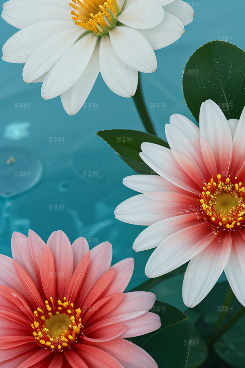 神秘红花深海水底花瓣与露心