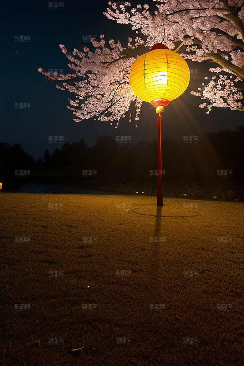 梦幻之夜月色与樱花
