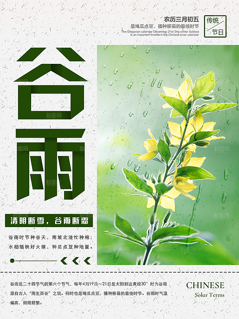 谷雨海报简洁中国传统节气