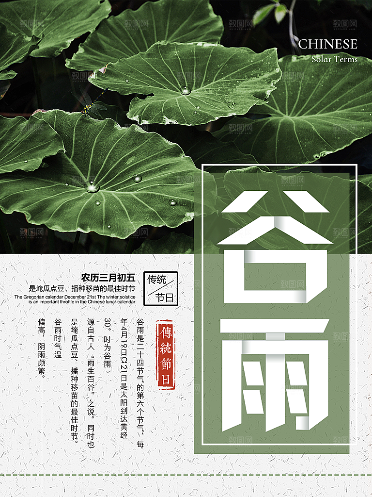 谷雨海报简洁中国传统节气