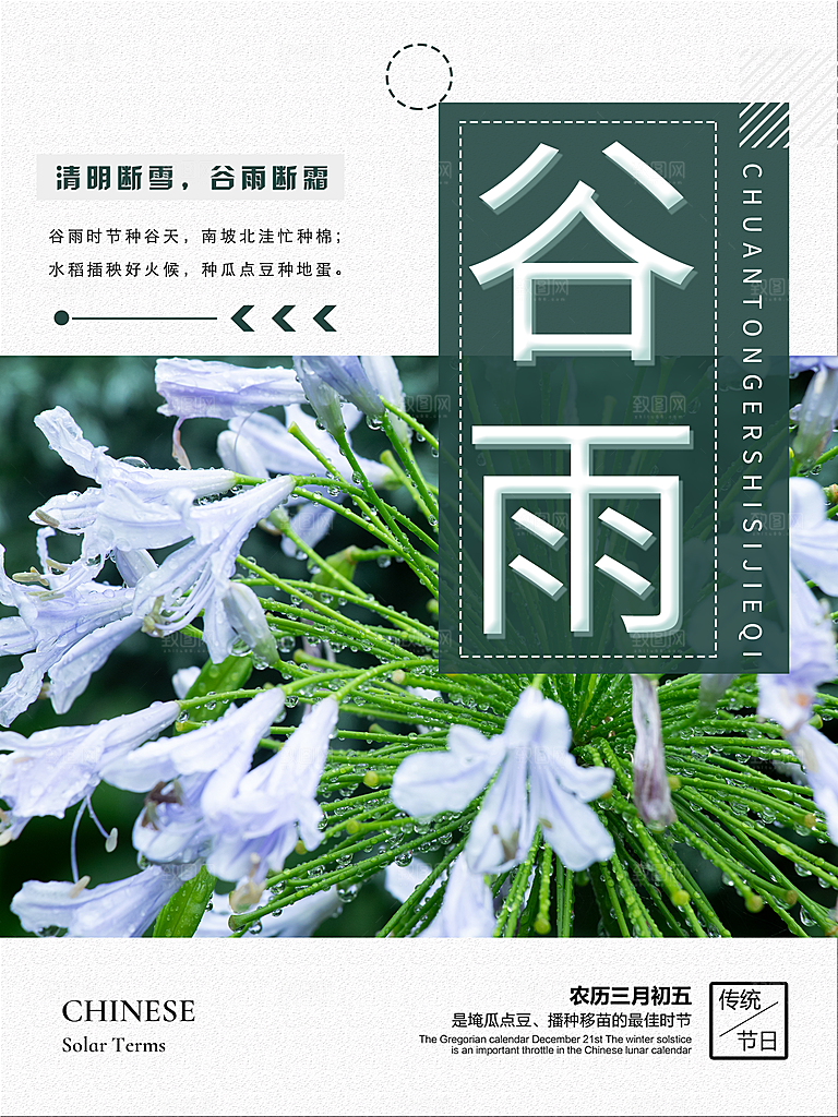 谷雨海报简洁中国传统节气