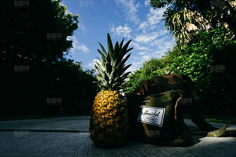 凤梨摄影特写素材