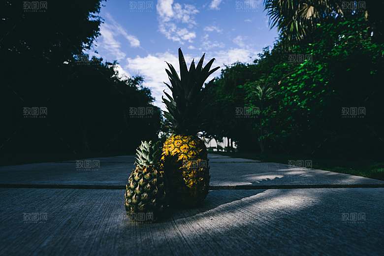 凤梨摄影素材特写元素