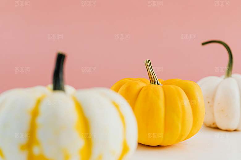 蔬菜摄影素材南瓜素材