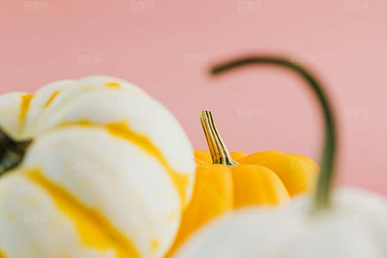 蔬菜摄影素材南瓜素材