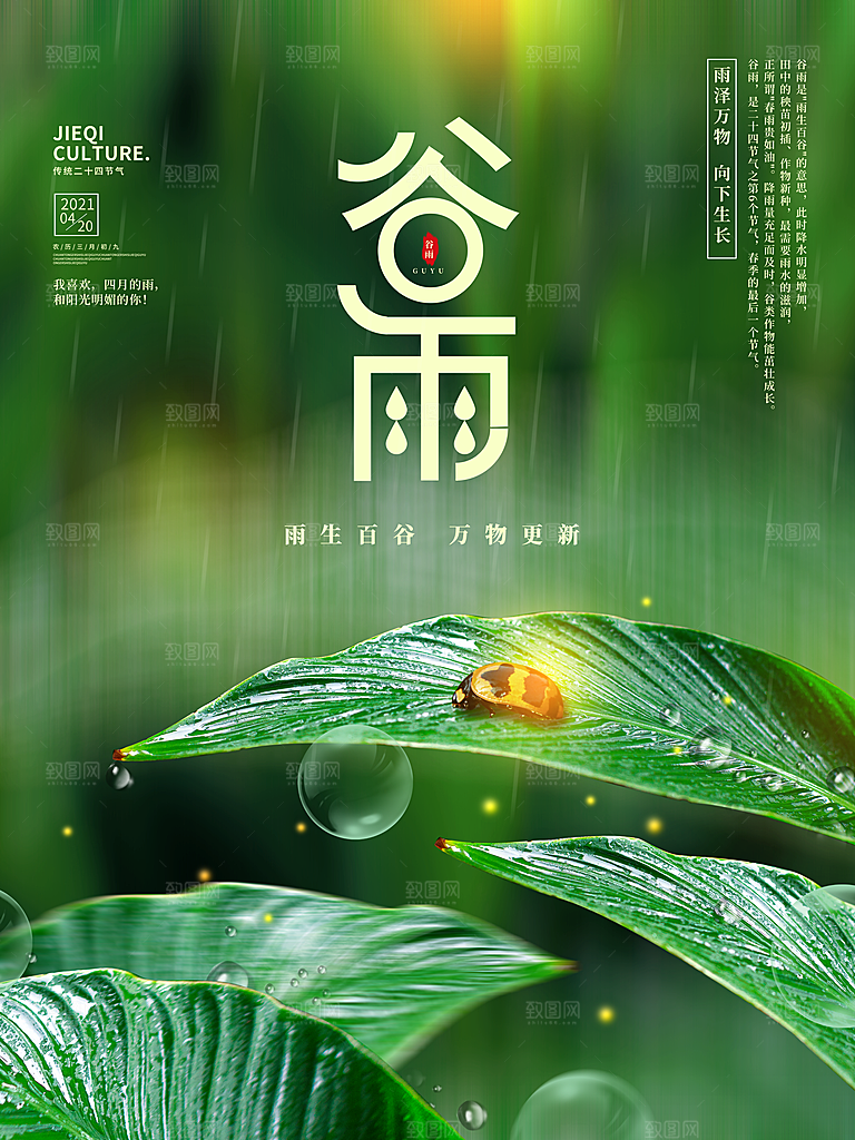 谷雨海报简洁中国传统节气