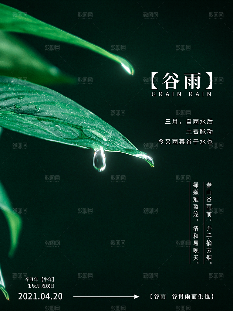 谷雨海报简洁中国传统节气