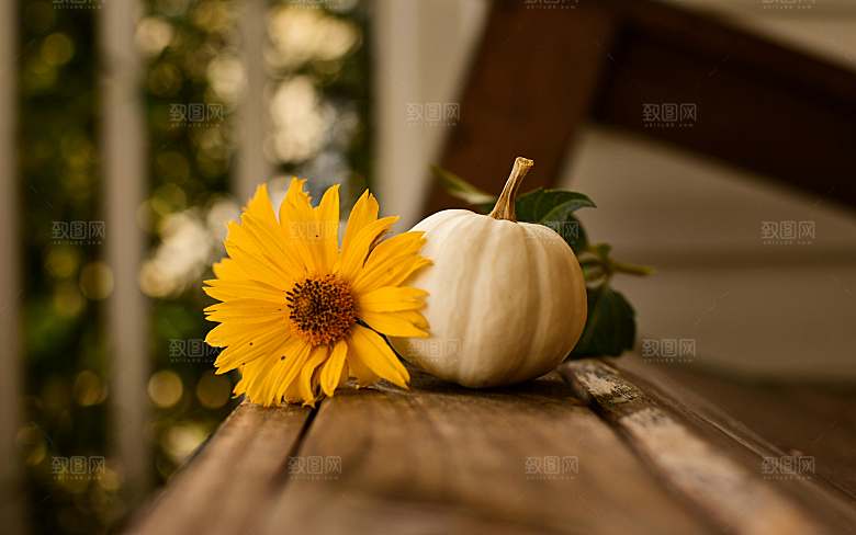 蔬菜南瓜美食蔬菜