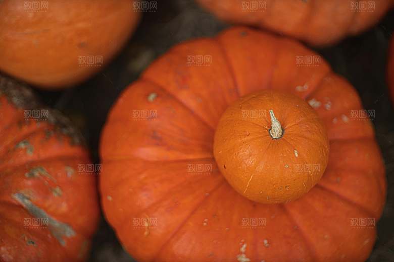 蔬菜南瓜美食蔬菜