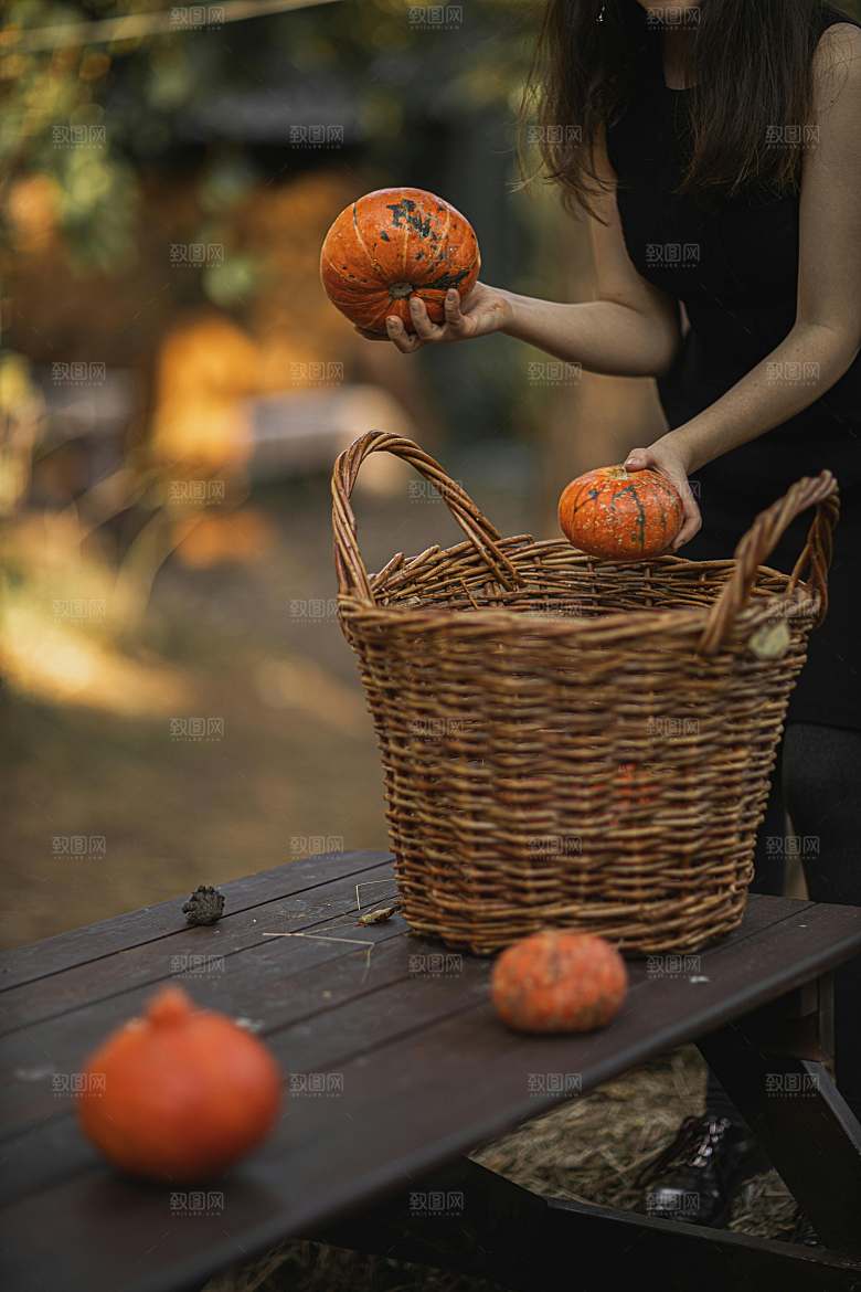 蔬菜南瓜美食蔬菜