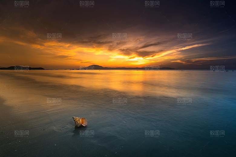 沙滩海边海螺摄影