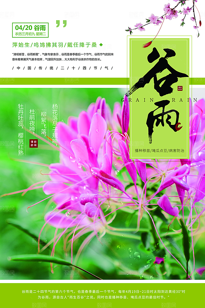 谷雨海报简洁中国传统节气