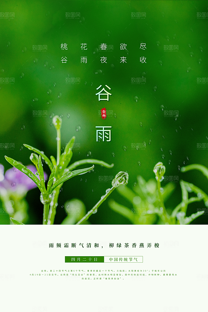 谷雨海报简洁中国传统节气