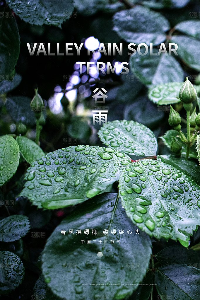 谷雨海报简洁中国传统节气