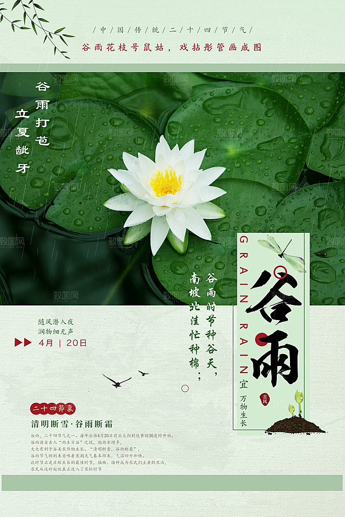 谷雨海报简洁中国传统节气