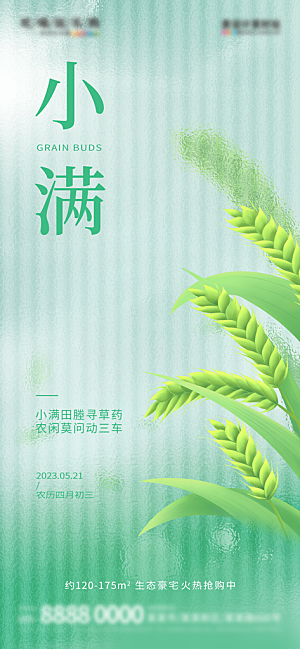 小满 节气海报竖版设计