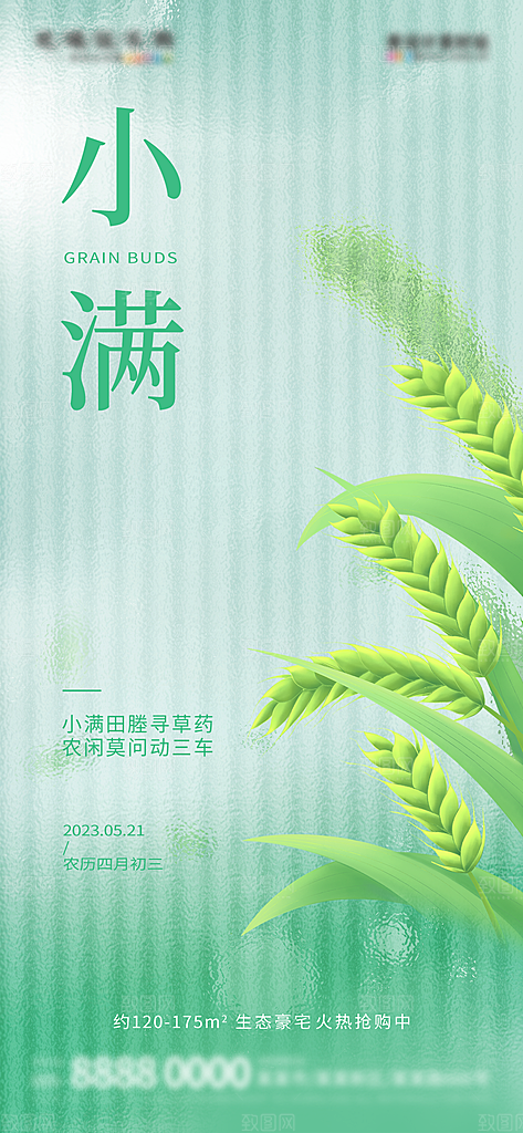 小满 节气海报竖版设计