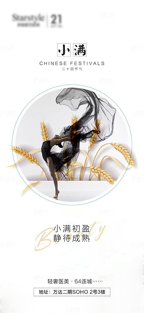 节气竖版简约小满海报