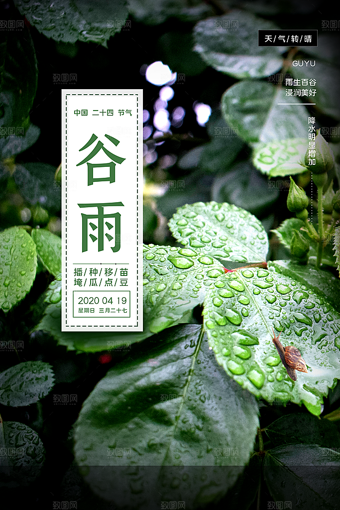 谷雨海报简洁中国传统节气