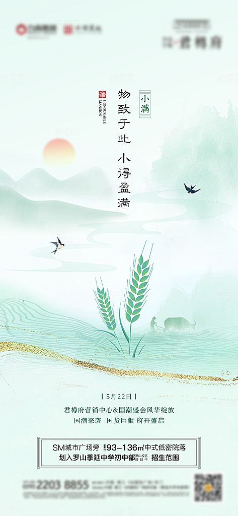 小满海报节气海报设计