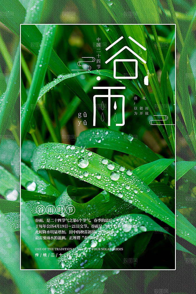谷雨海报简洁中国传统节气