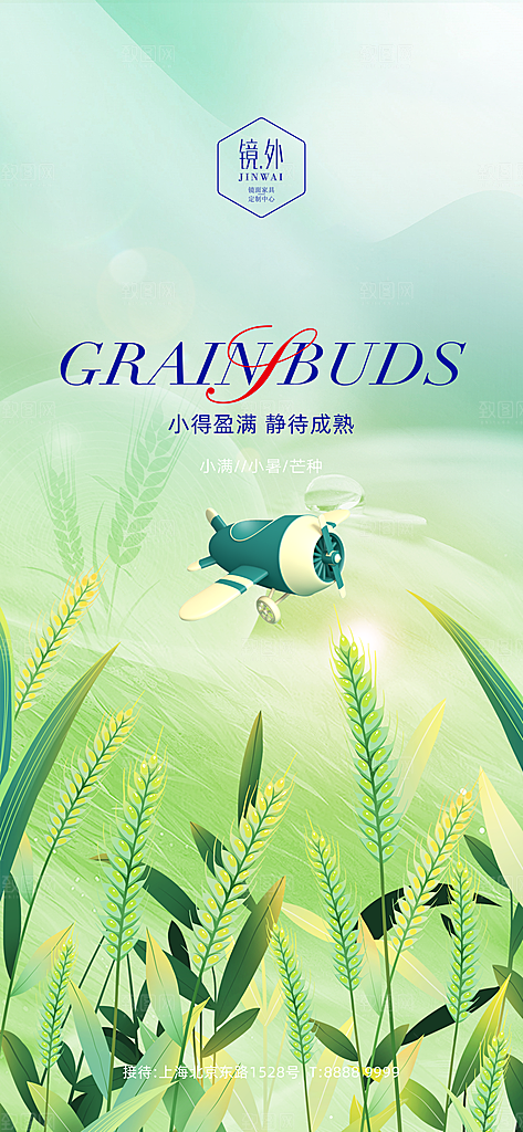 小满二十四节气海报竖版