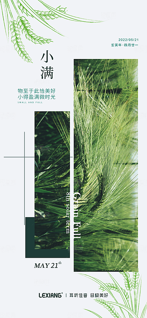 小满 竖版节气海报设计