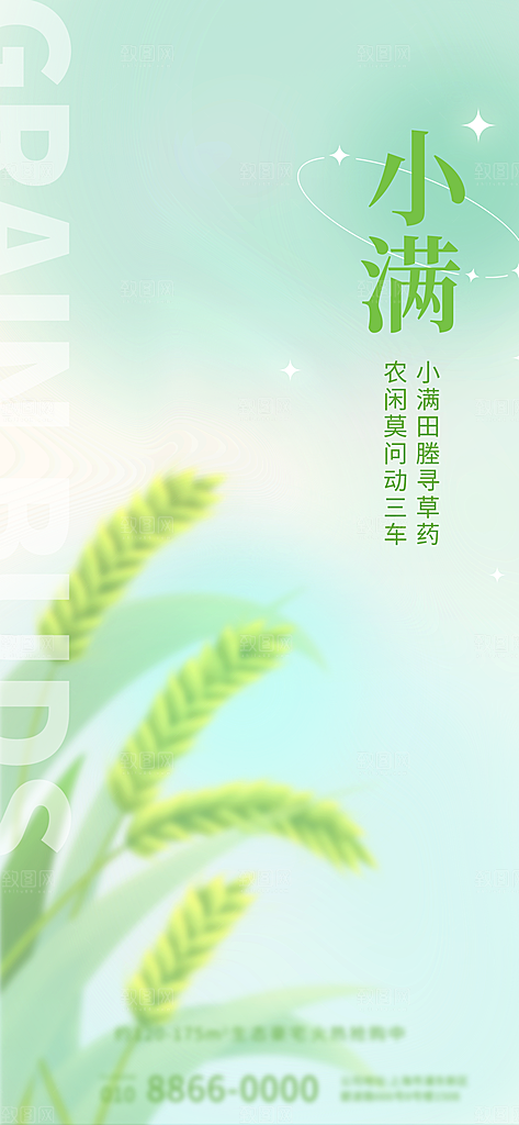 小满竖版简约海报设计