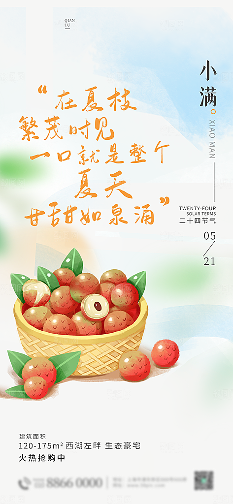 小满竖版简约海报设计模板