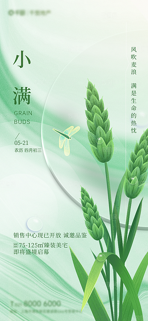 二十四节气海报小满节气