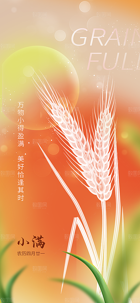 小满二十四传统节气海报