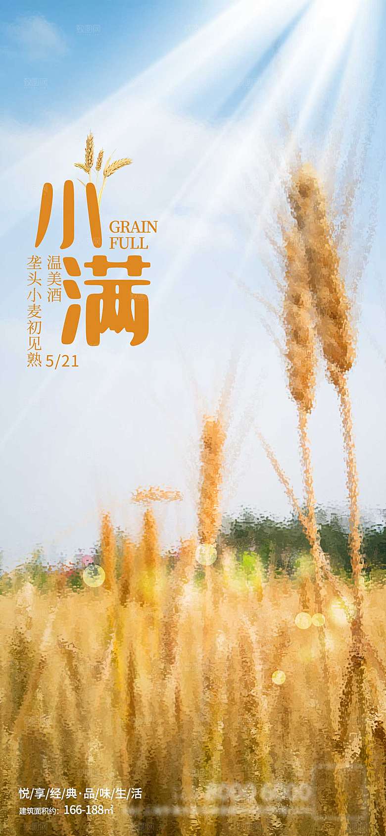 小满竖版海报设计