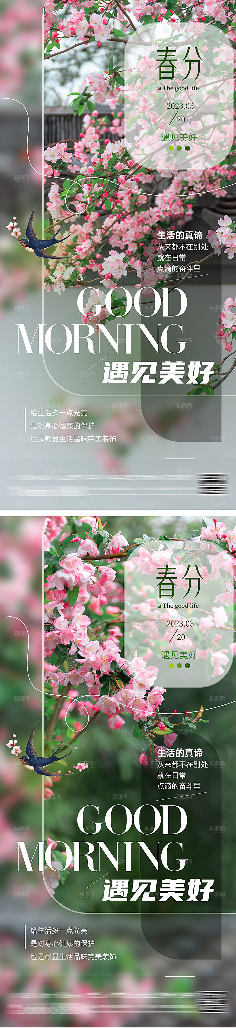 春分桃花节气海报