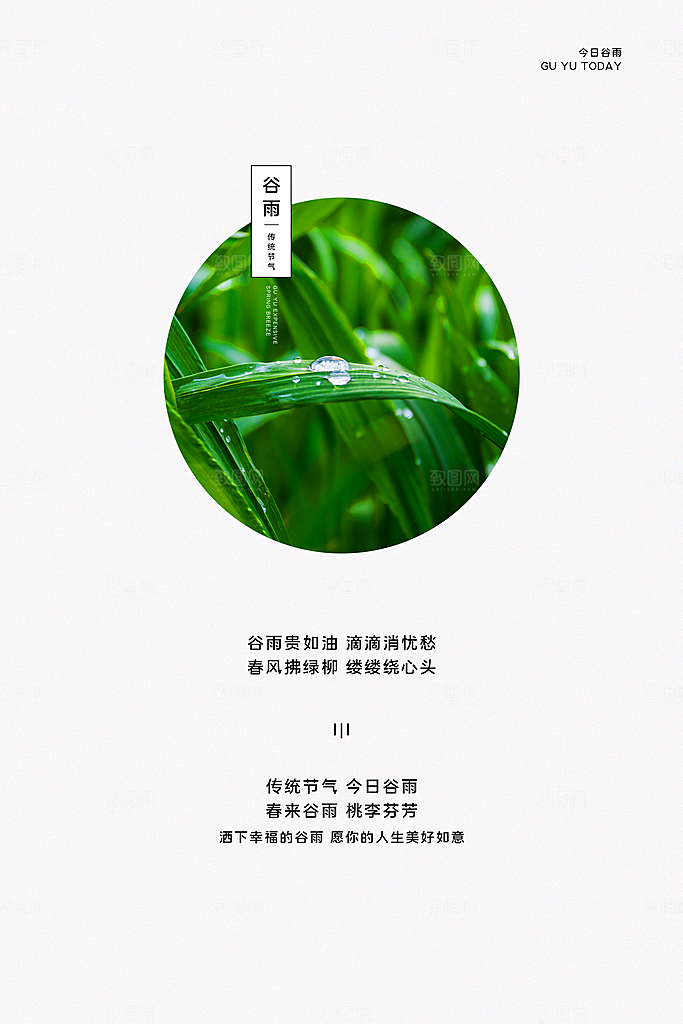 谷雨海报简洁中国传统节气