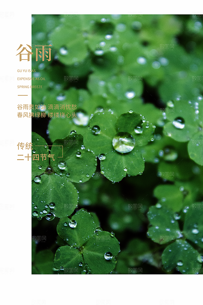 谷雨海报简洁中国传统节气