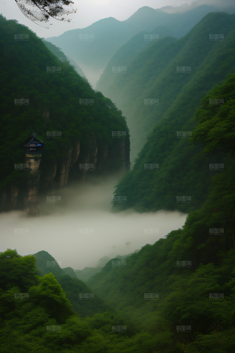 大自然的和谐人与自然共生的武夷山