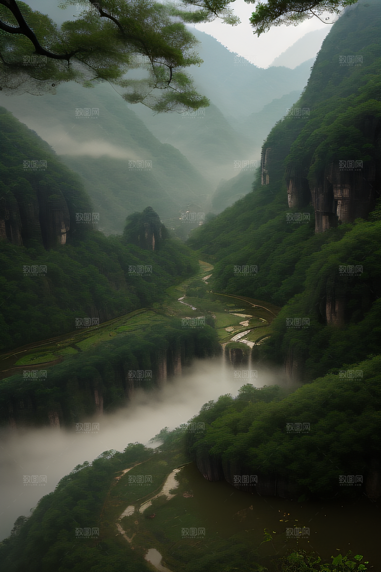 神秘山谷的薄雾武夷山的幽静氛围