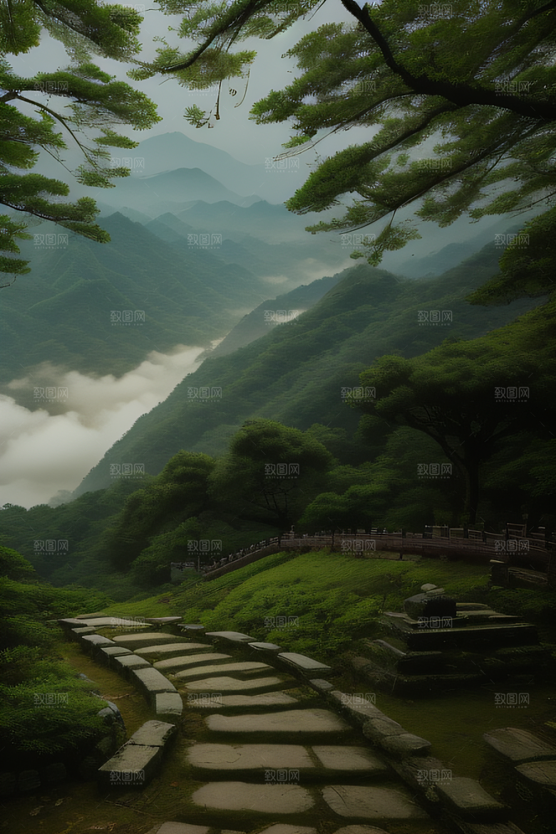 神秘山谷的薄雾武夷山的幽静氛围