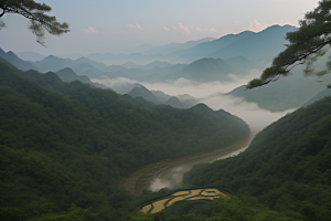 沈洲的水墨艺术描绘武夷山的神奇景色