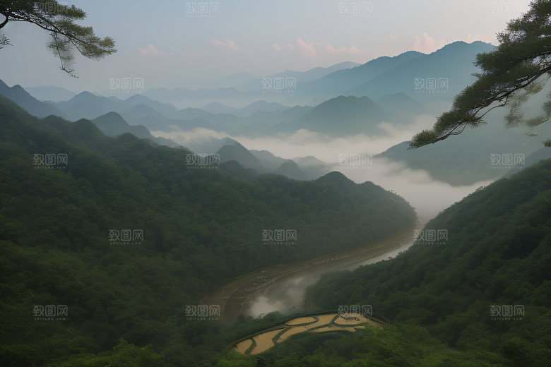 沈洲的水墨艺术描绘武夷山的神奇景色