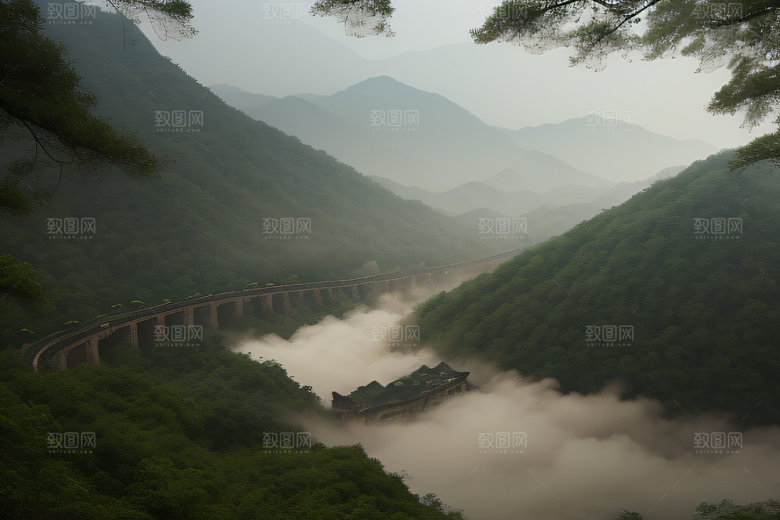 沈洲的水墨艺术描绘武夷山的神奇景色