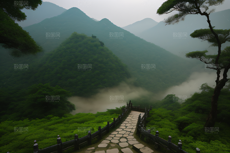 武夷山的永恒魅力发现自然中的深刻智慧