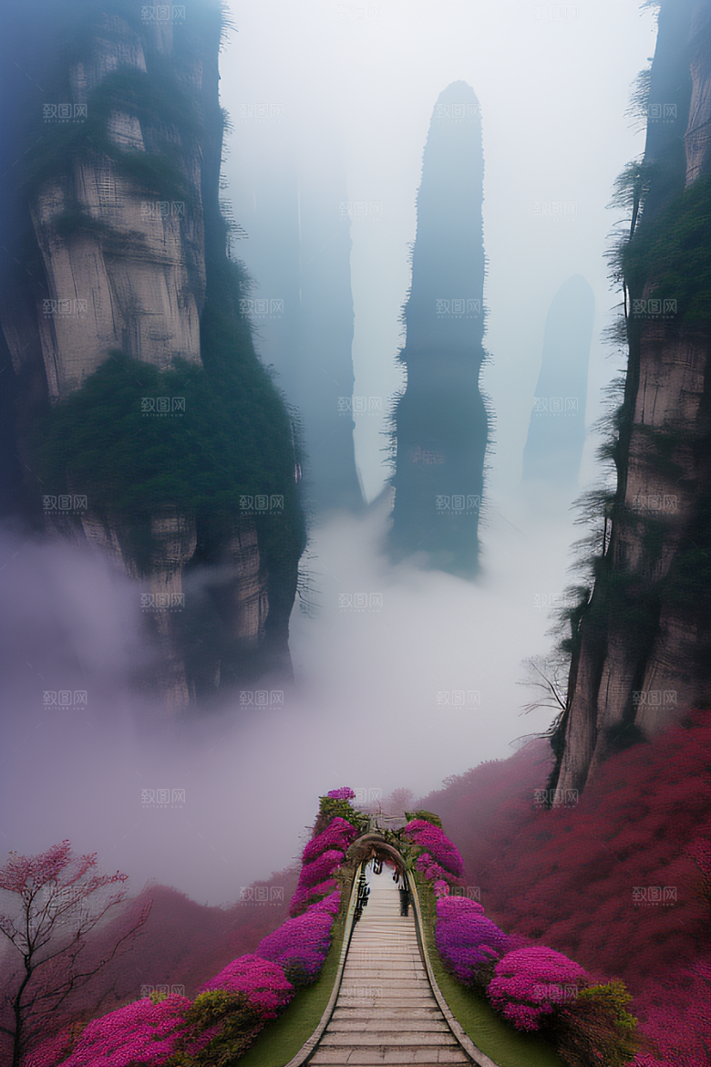 挂在脖子上的相机见证奇景