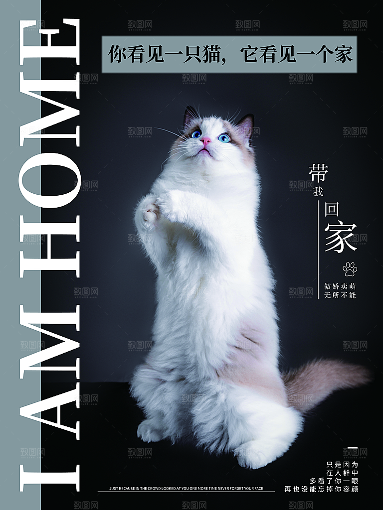 宠物商店海报寄养兽医狗猫粮食柯基美容