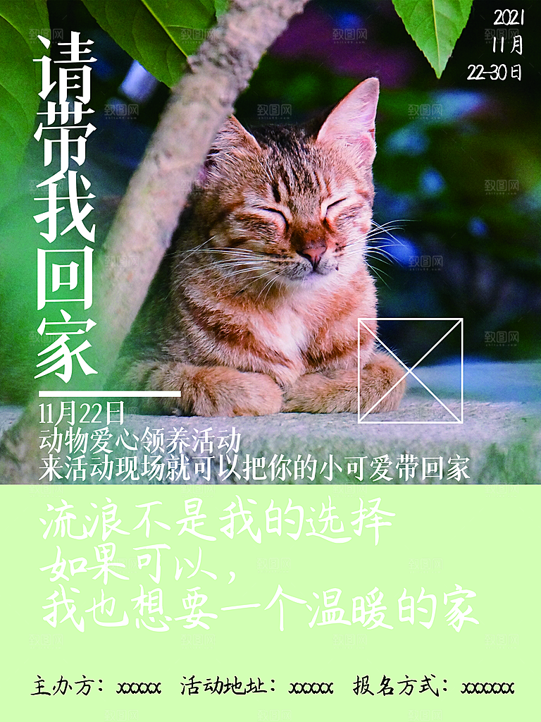 宠物商店海报寄养兽医狗猫粮食柯基美容