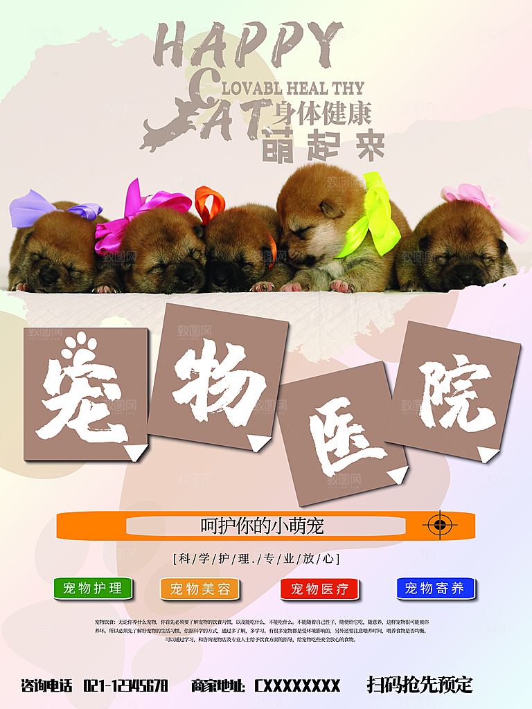 宠物商店海报寄养兽医狗猫粮食柯基美容