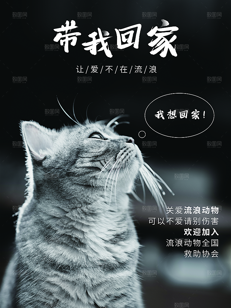 宠物商店海报寄养兽医狗猫粮食柯基