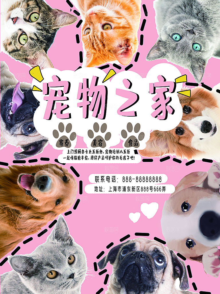 宠物商店海报寄养兽医狗猫粮食柯基美容