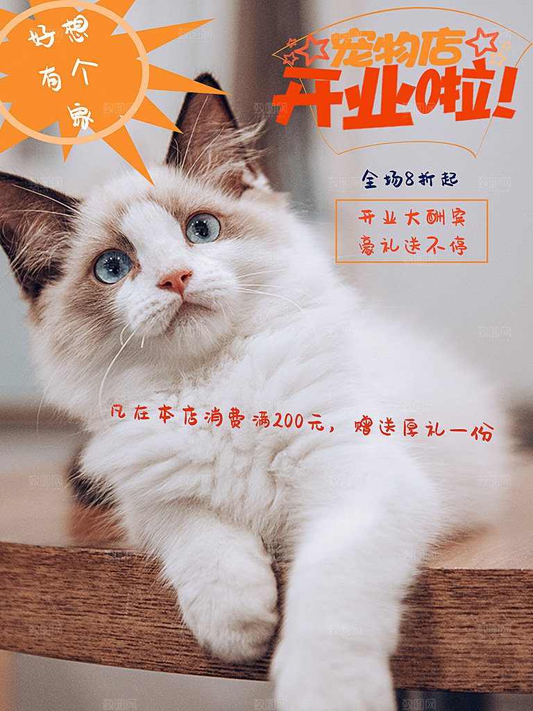 宠物商店海报寄养兽医狗猫粮食柯基